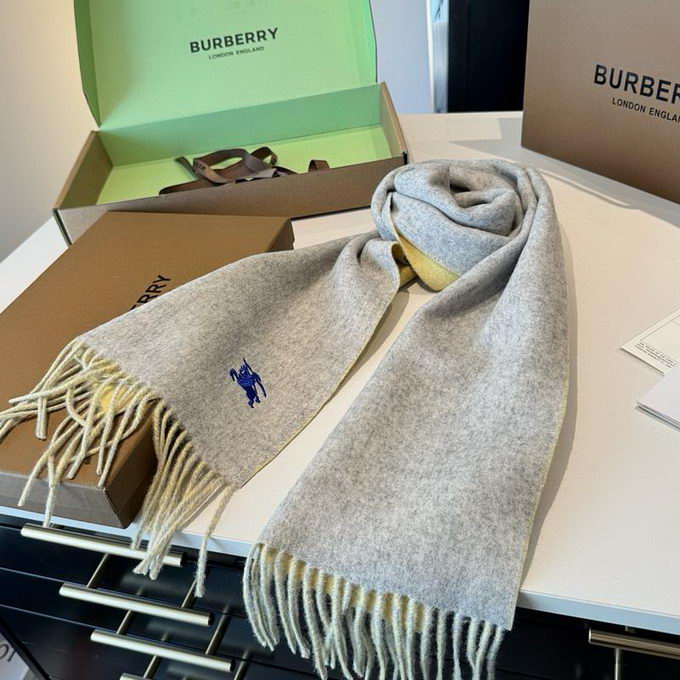 Burberry Scarf ID:20260120-75
